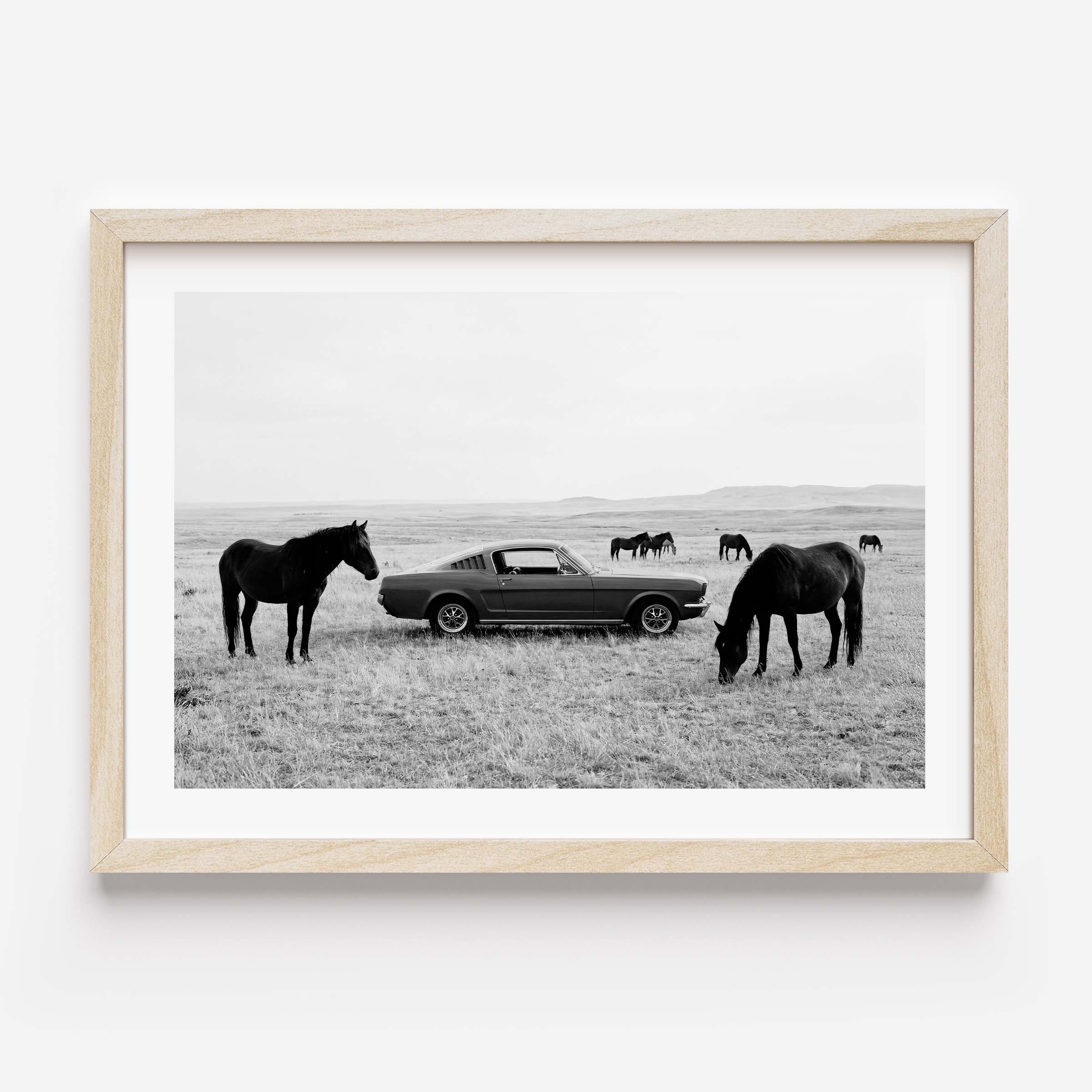 Black and white framed wall art print showing a classic car parked in a field with horses grazing in the background.