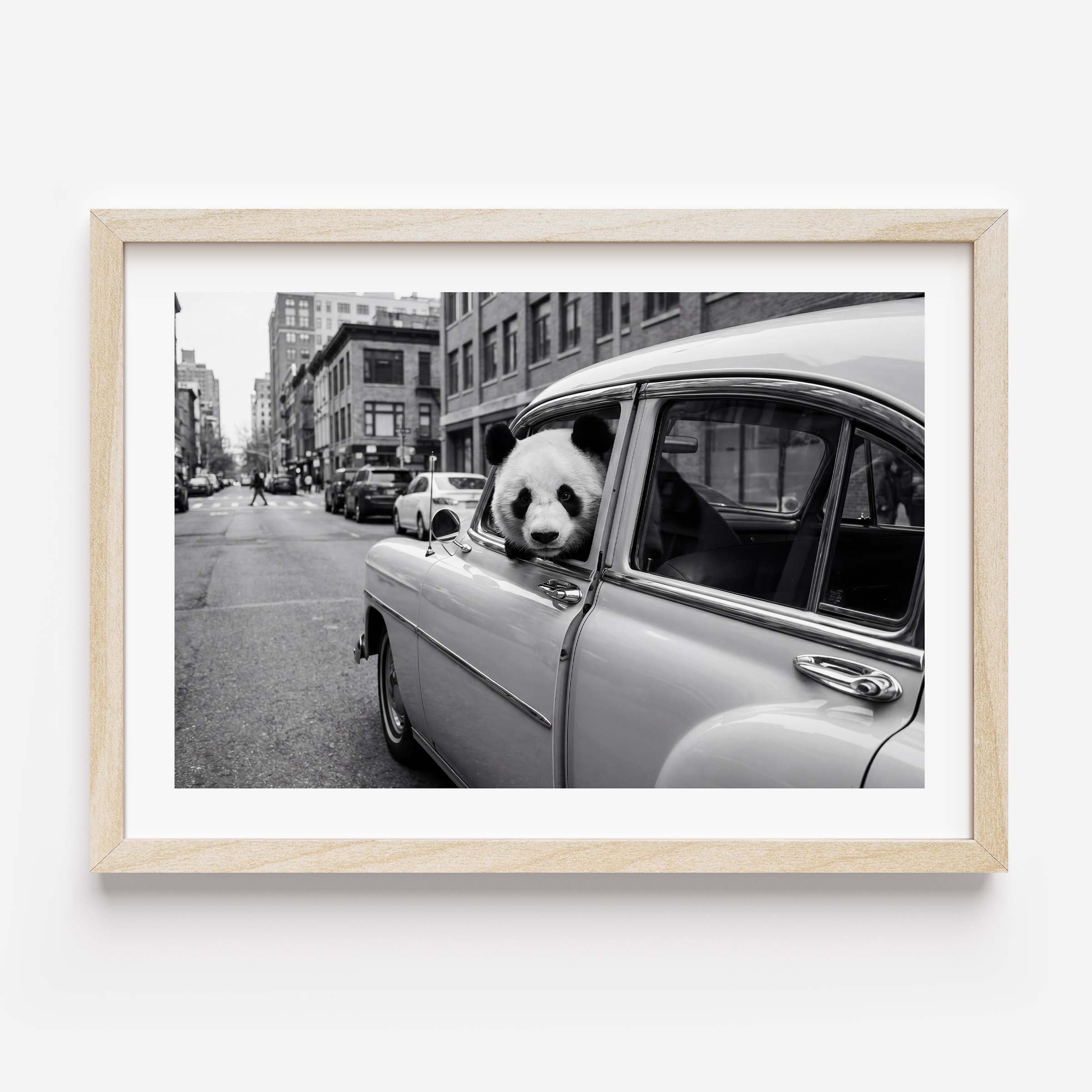 Framed black and white art print of a giant panda leaning out of a vintage classic car window on a busy city street, with urban buildings in the background. White mat border in a black frame, printed on premium 230g matte paper.