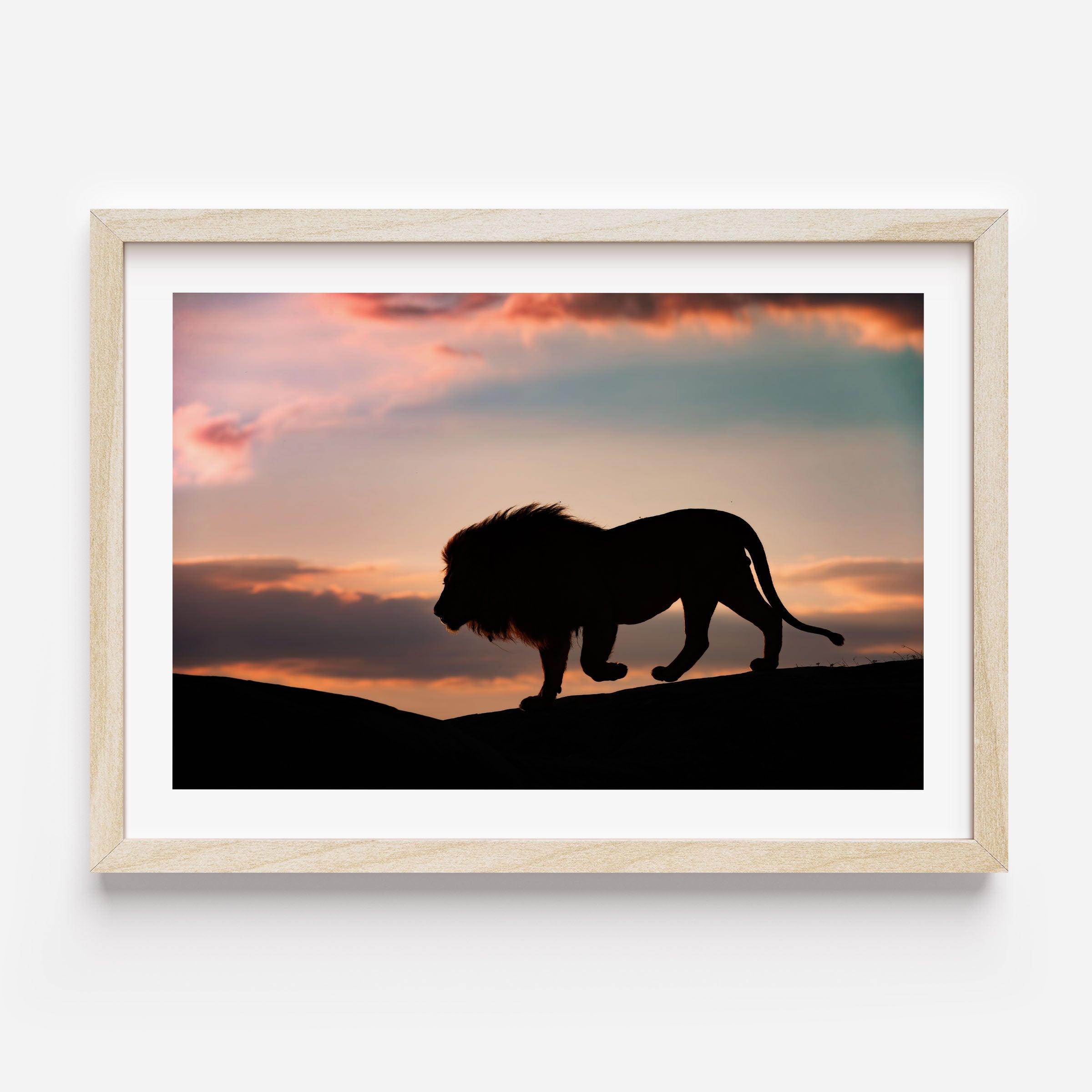 poster of a lion and sunset in africa/ wall decor/wall art
