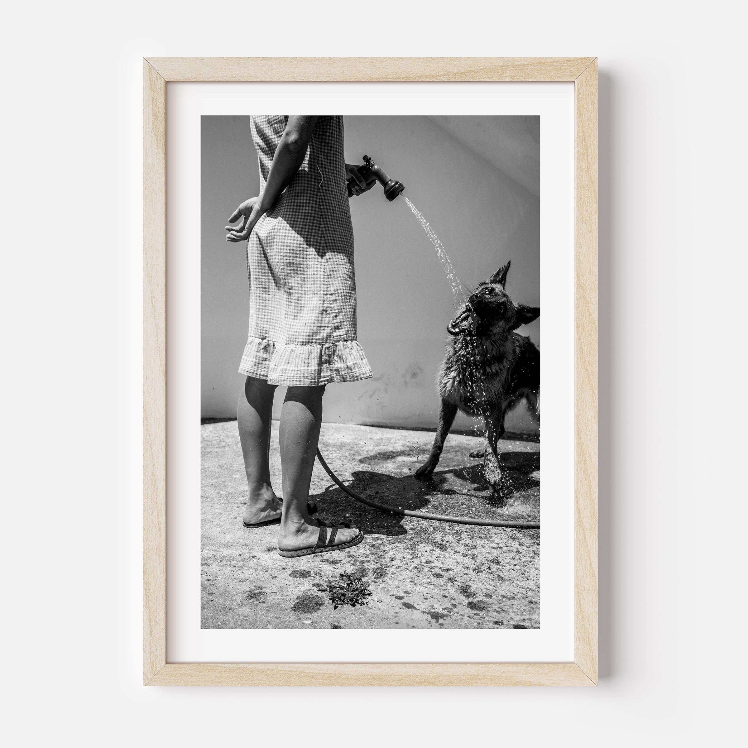 black and white fine art print depicting a woman spraying water into a dog's mouth. The scene captures a tranquil, intimate moment, evoking the charm of slow mornings in Italy. The minimalist composition is perfect for home decor and wall art, adding a timeless touch to any interior design.