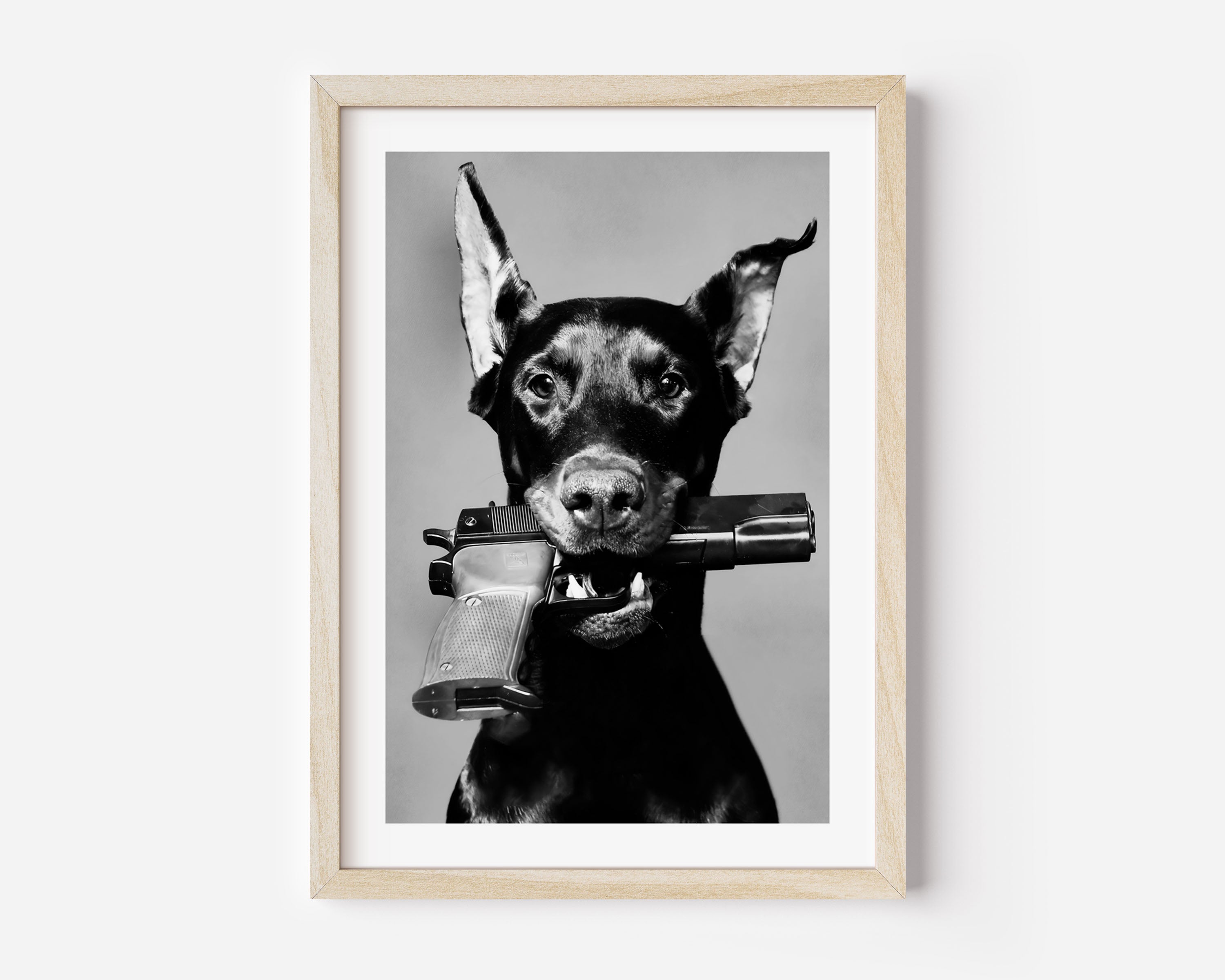 dobermann dog poster