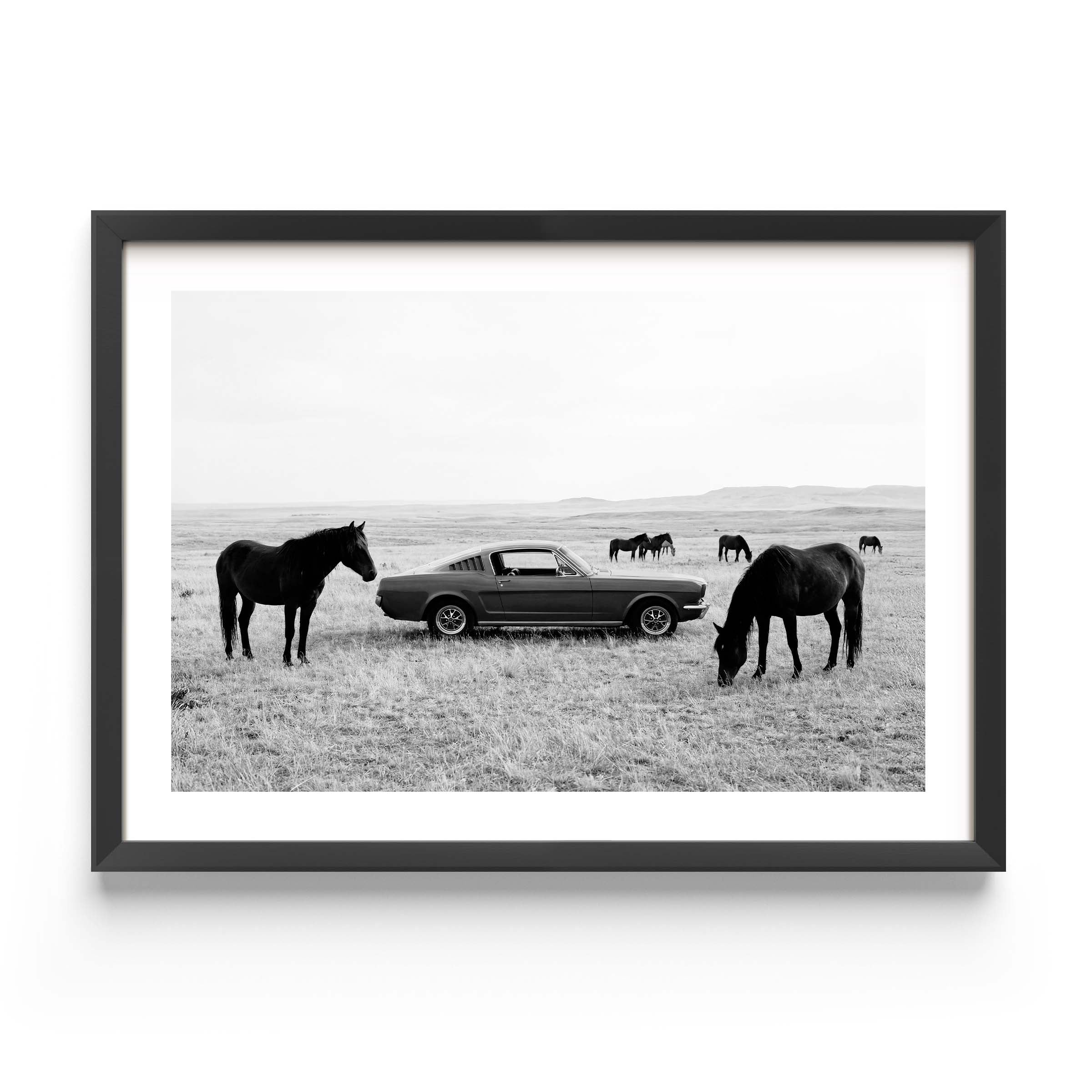 Black and white framed wall art print showing a classic car parked in a field with horses grazing in the background.