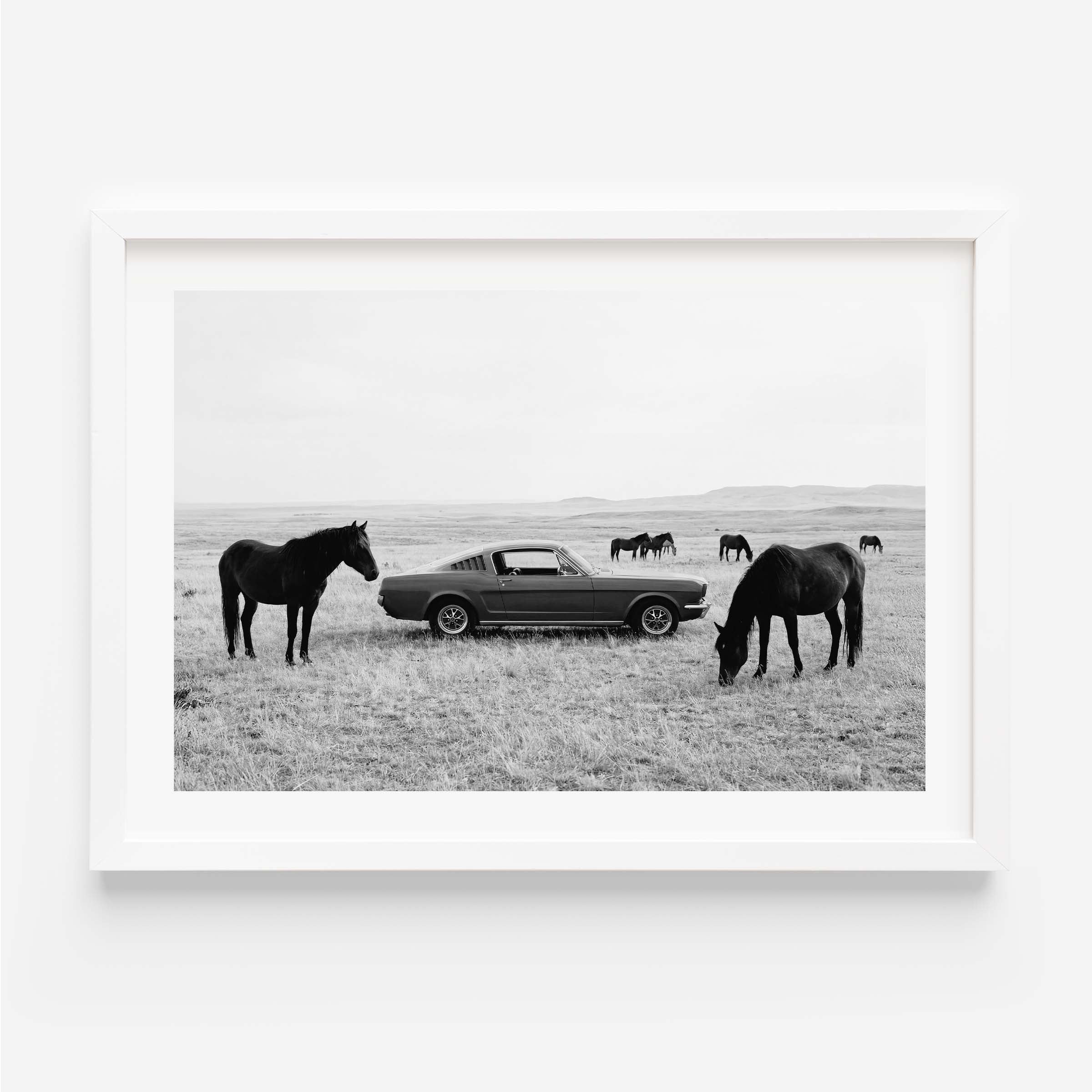 Black and white framed wall art print showing a classic car parked in a field with horses grazing in the background.