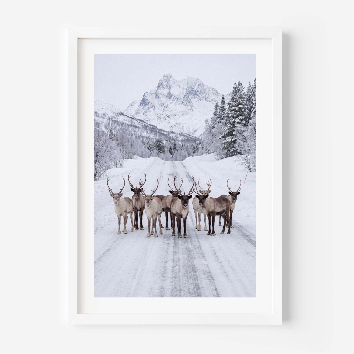 A framed art print depicting a group of reindeer standing on a snow-covered road with snowy mountains and pine trees in the background, presented in a white frame against a light wall.