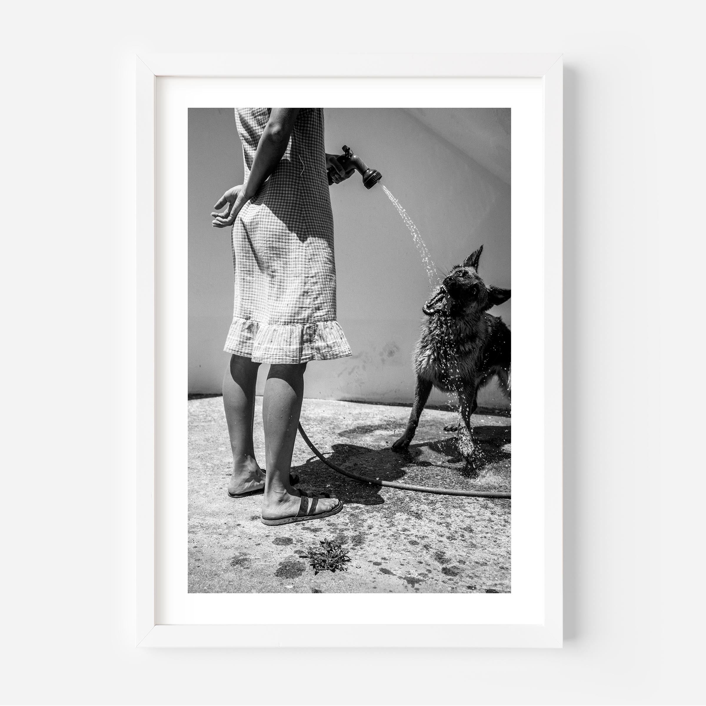 black and white fine art print depicting a woman spraying water into a dog's mouth. The scene captures a tranquil, intimate moment, evoking the charm of slow mornings in Italy. The minimalist composition is perfect for home decor and wall art, adding a timeless touch to any interior design.