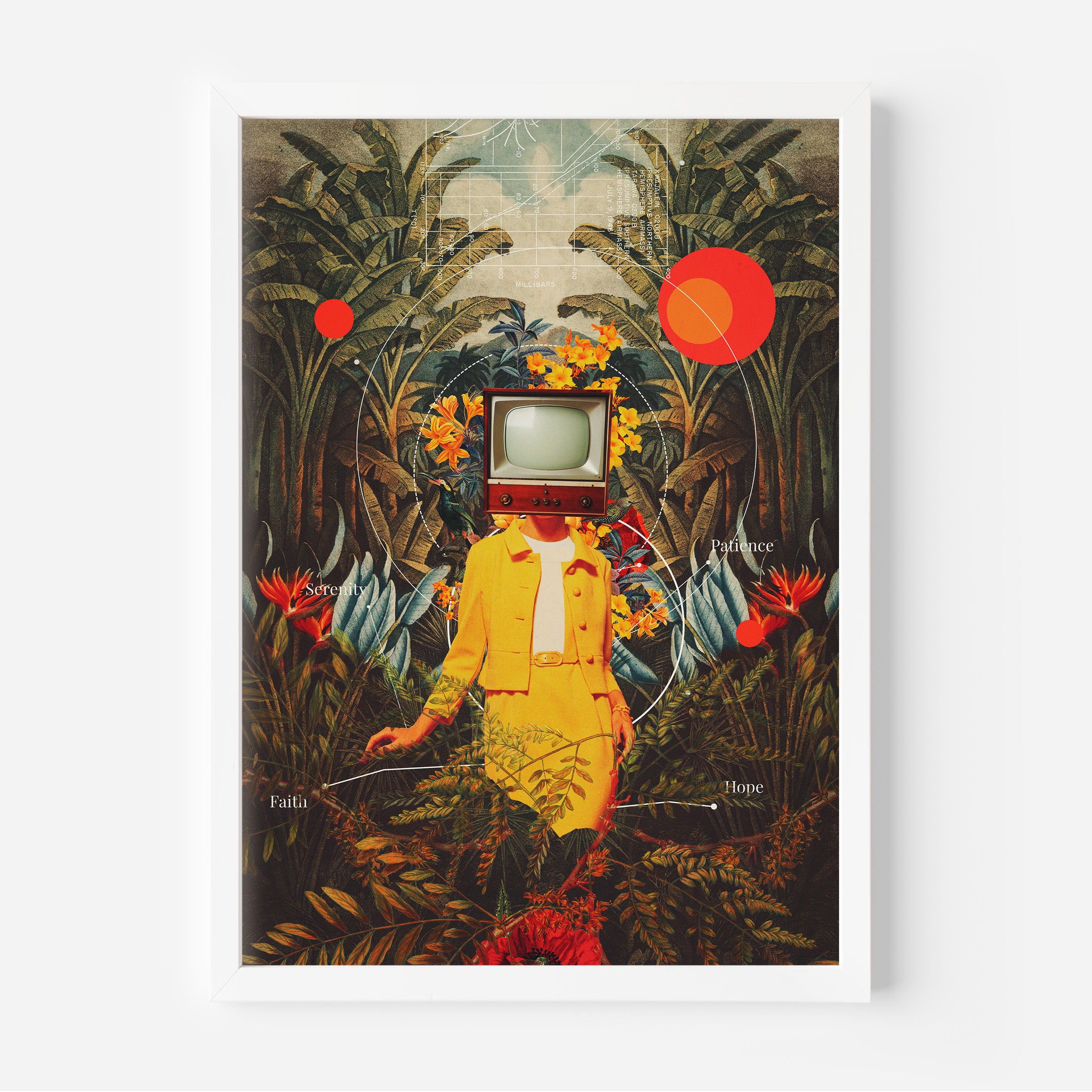 Sie kam aus der Wildnis