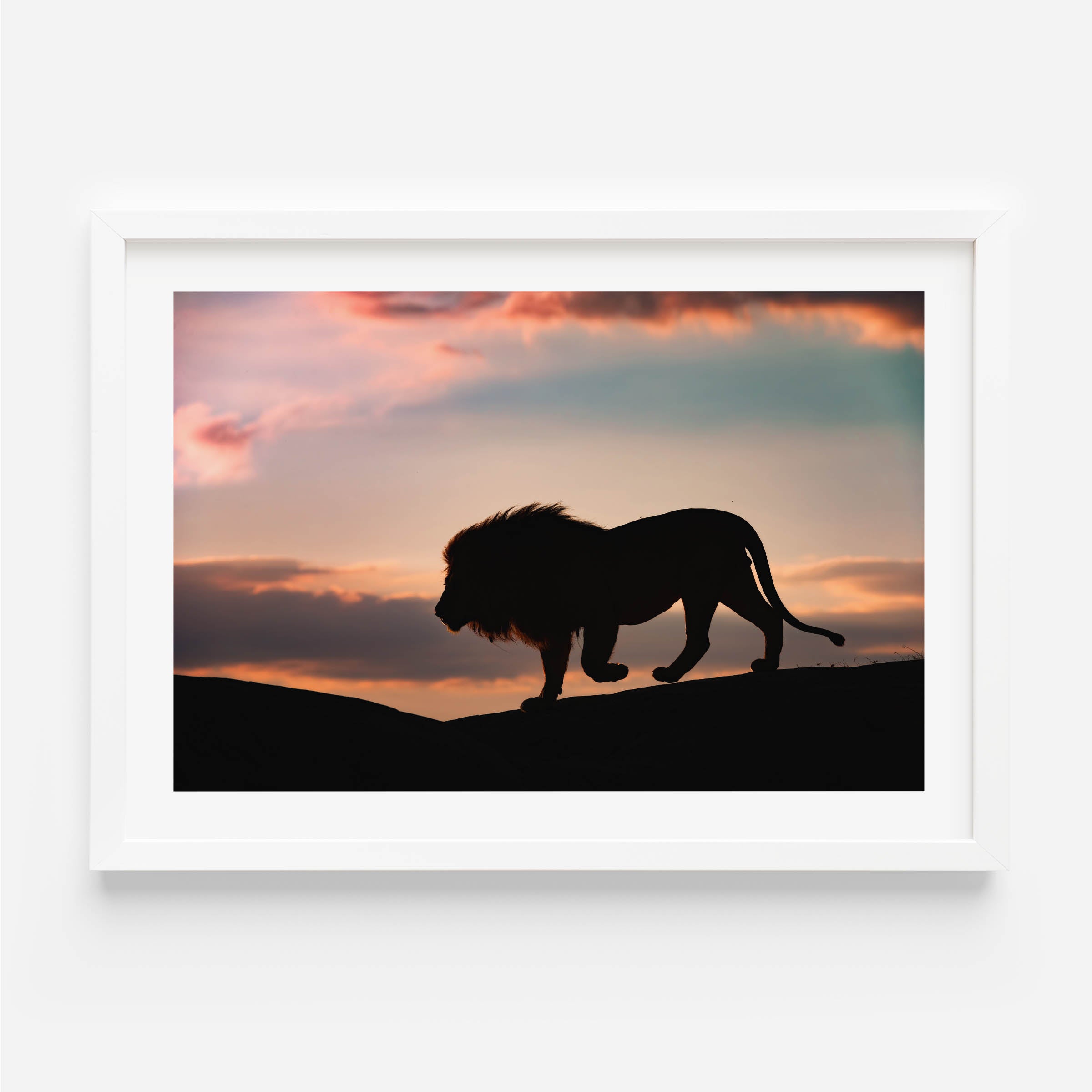 poster of a lion and sunset in africa/ wall decor/wall art