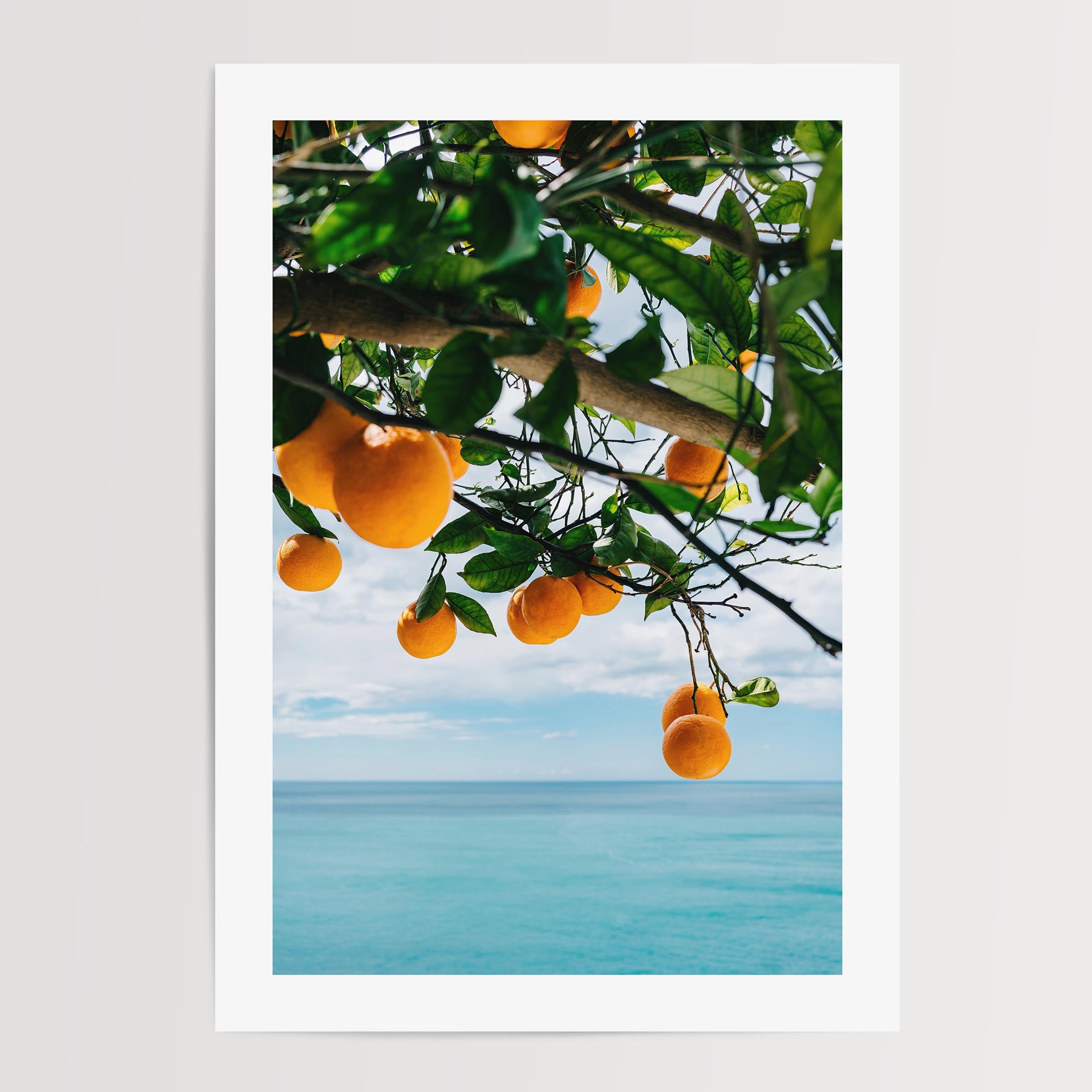 colorful poster of oranges hanging on a tree with a view ot the ocean, Italy, Mediterranean, home decor, print, wall art