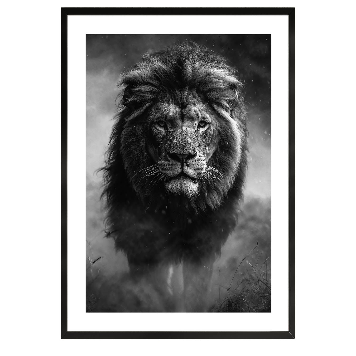 poster black and white, wall art, home decor, framed prints, matisse posters, posters 50x70