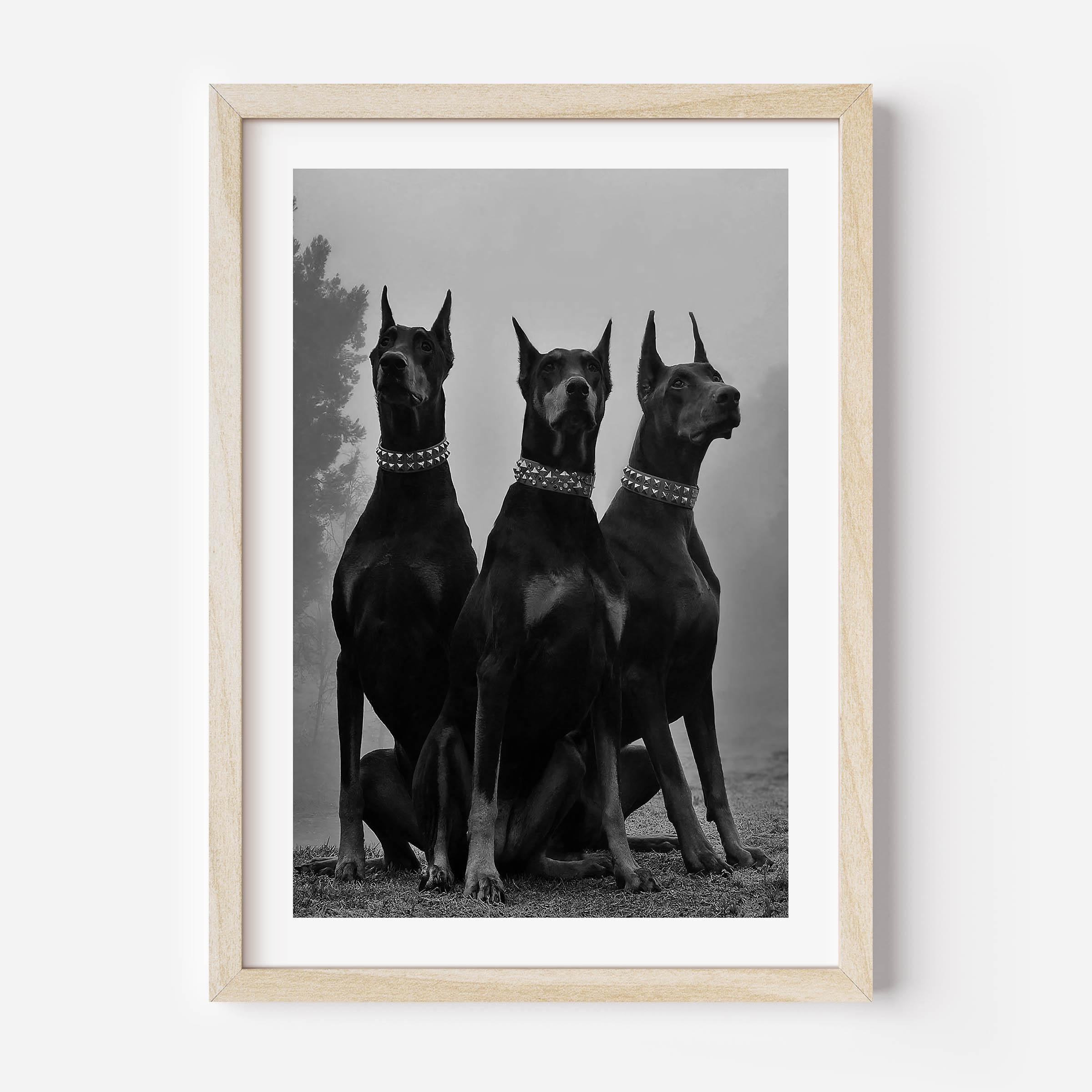 Dobermann Poster