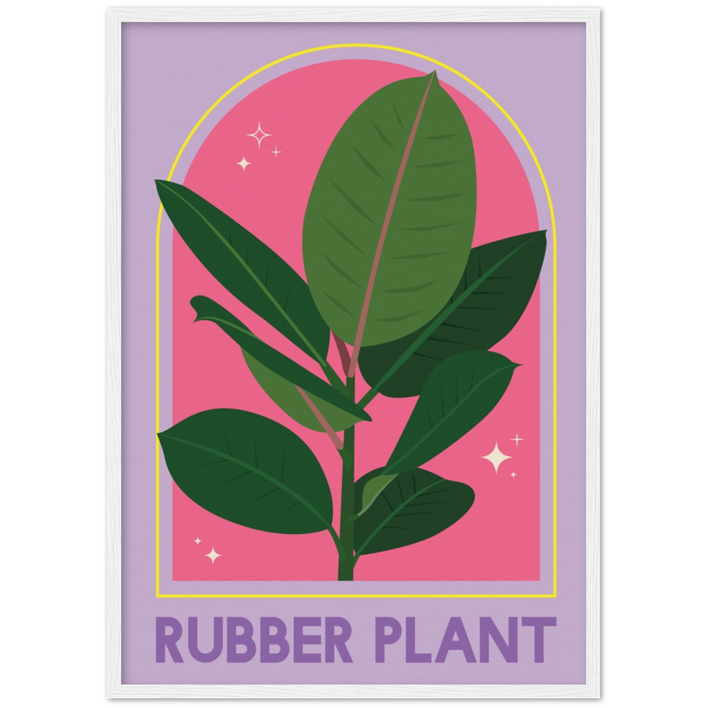 Ficus-Gummipflanzen-Poster