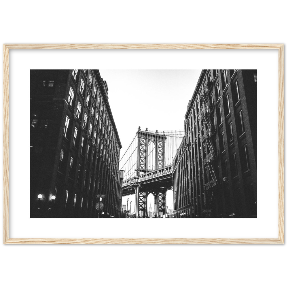 Dumbo New York City Poster