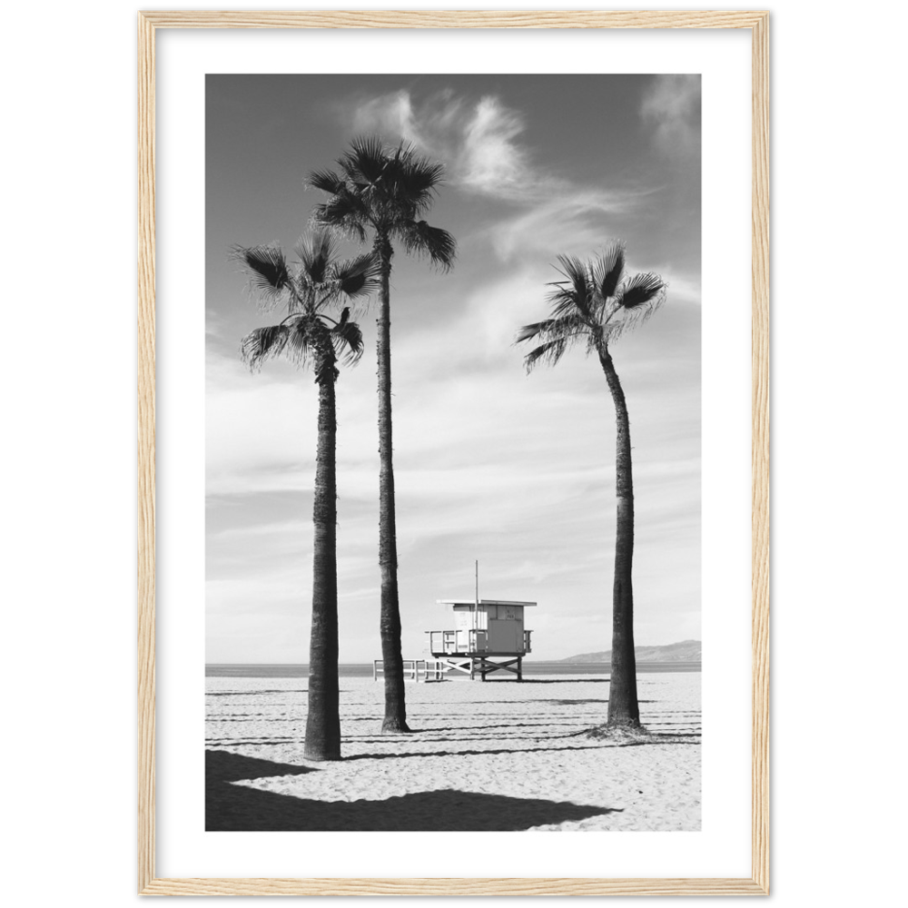 Schwarz-Weiß-Poster mit Palmen