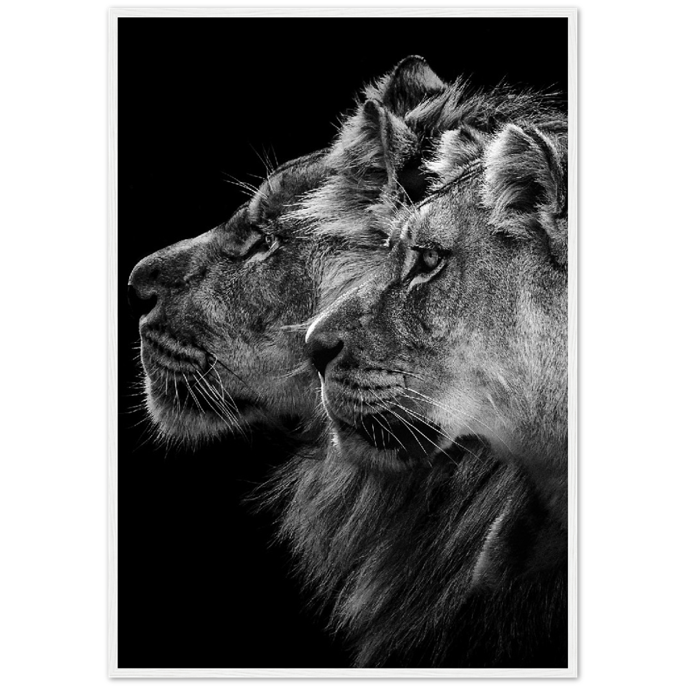 Löwe und Löwin Poster