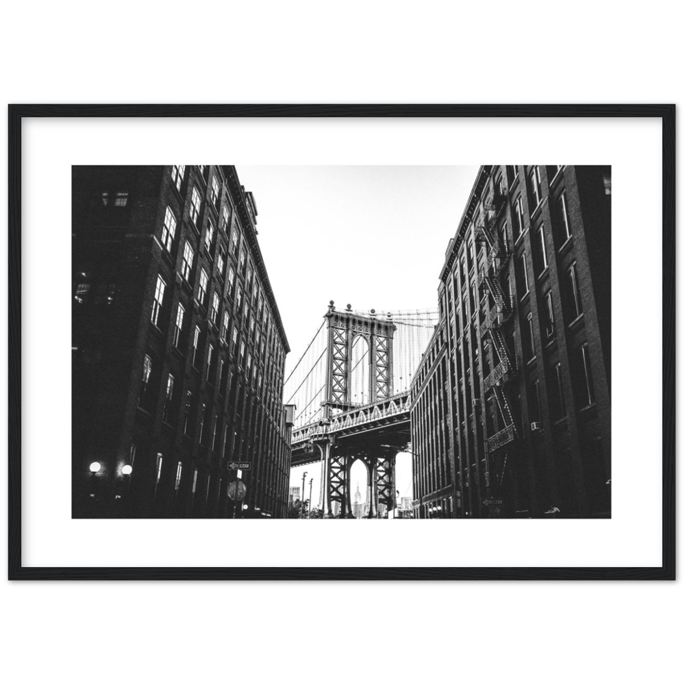 Dumbo New York City Poster