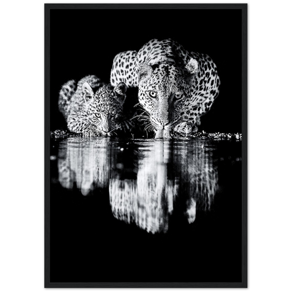 Leopard Black Poster