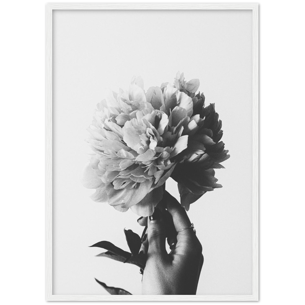 Schwarz-weißes Pfingstrosenblumen-Poster