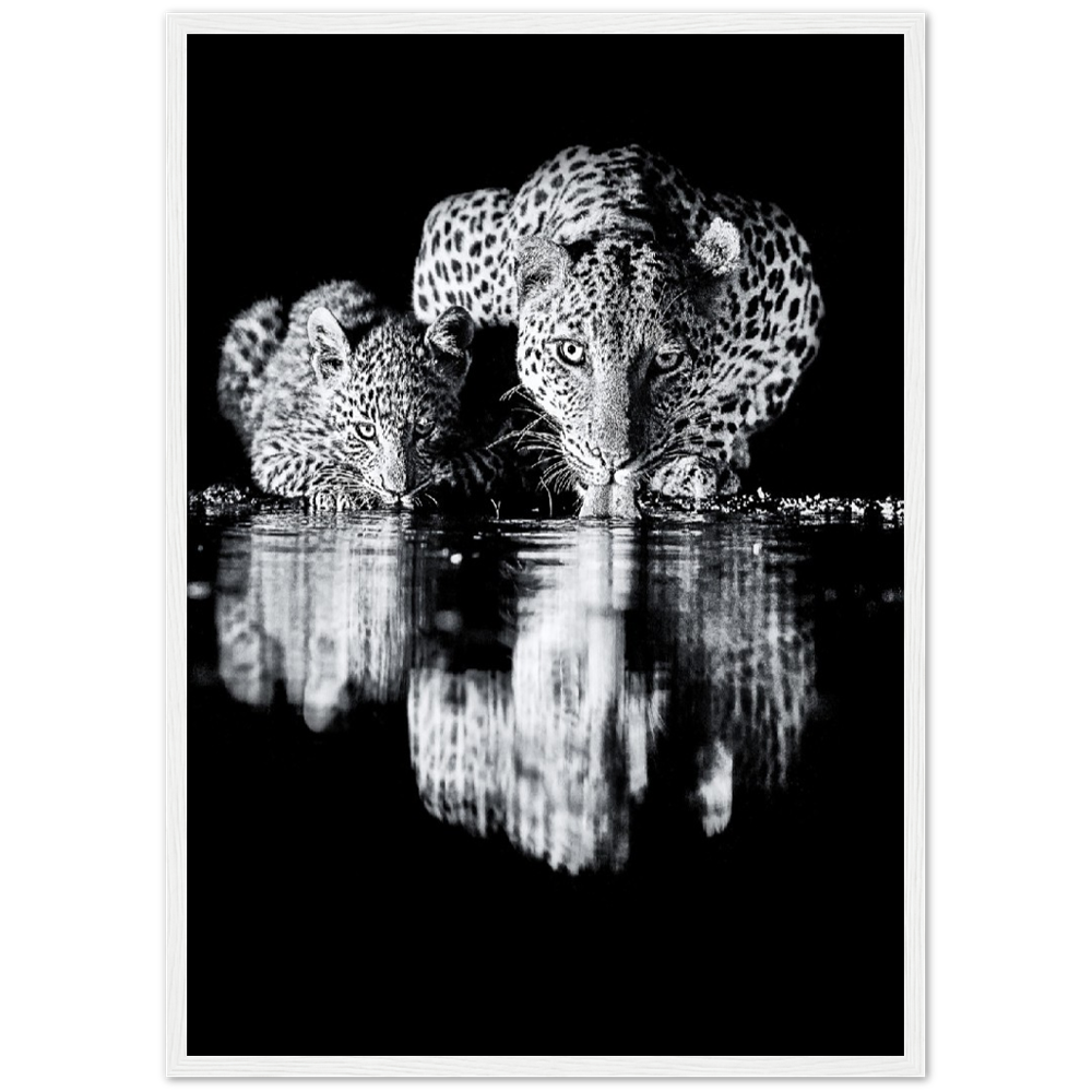 Leopard Black Poster