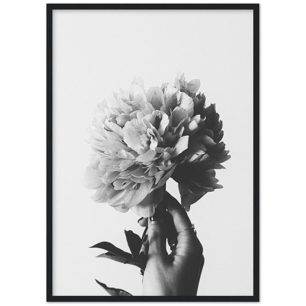 black and white poster/print of a wild flower. Fine art wall decor