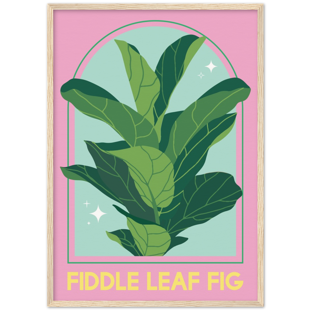 Geigenblatt-Feigenplakat