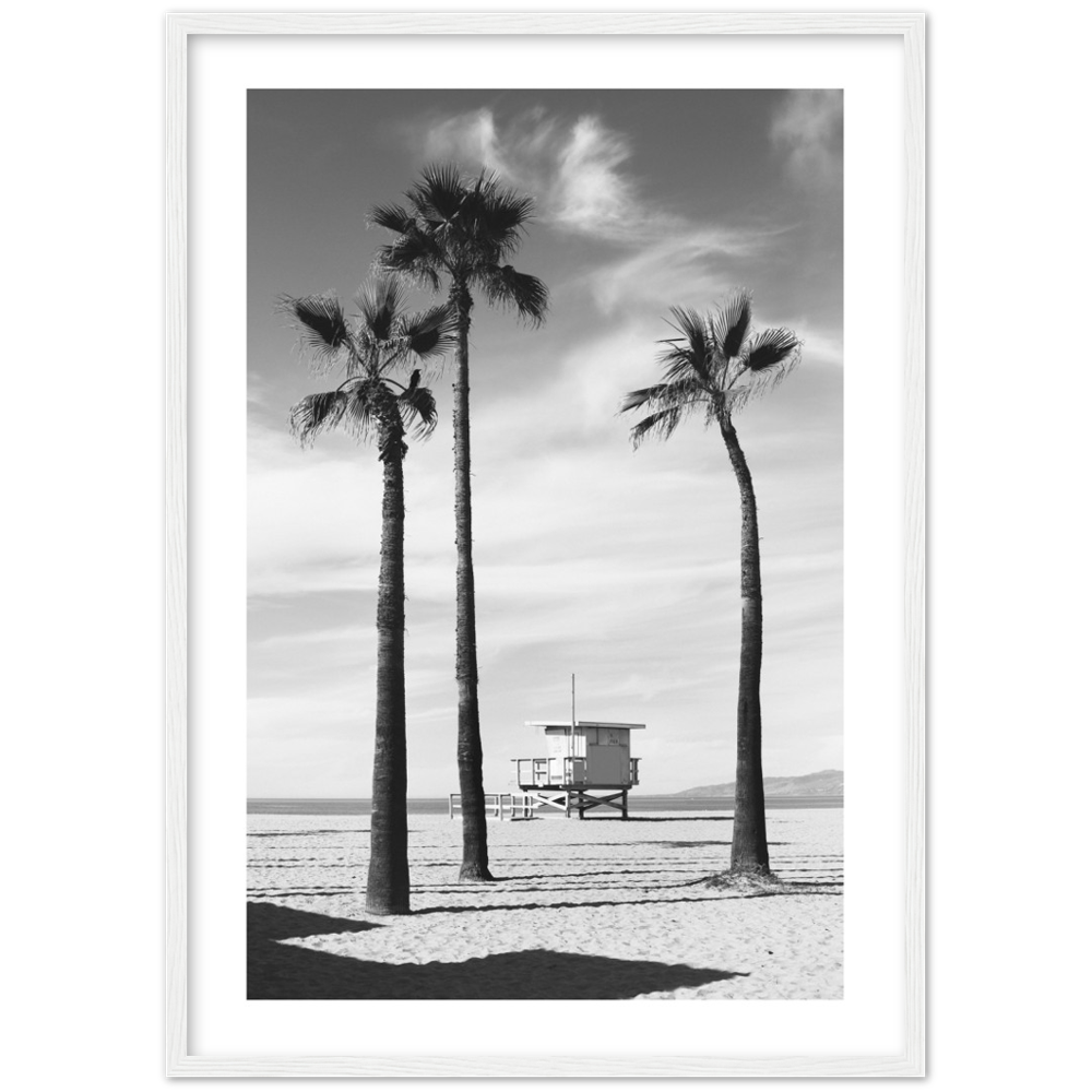 Schwarz-Weiß-Poster mit Palmen