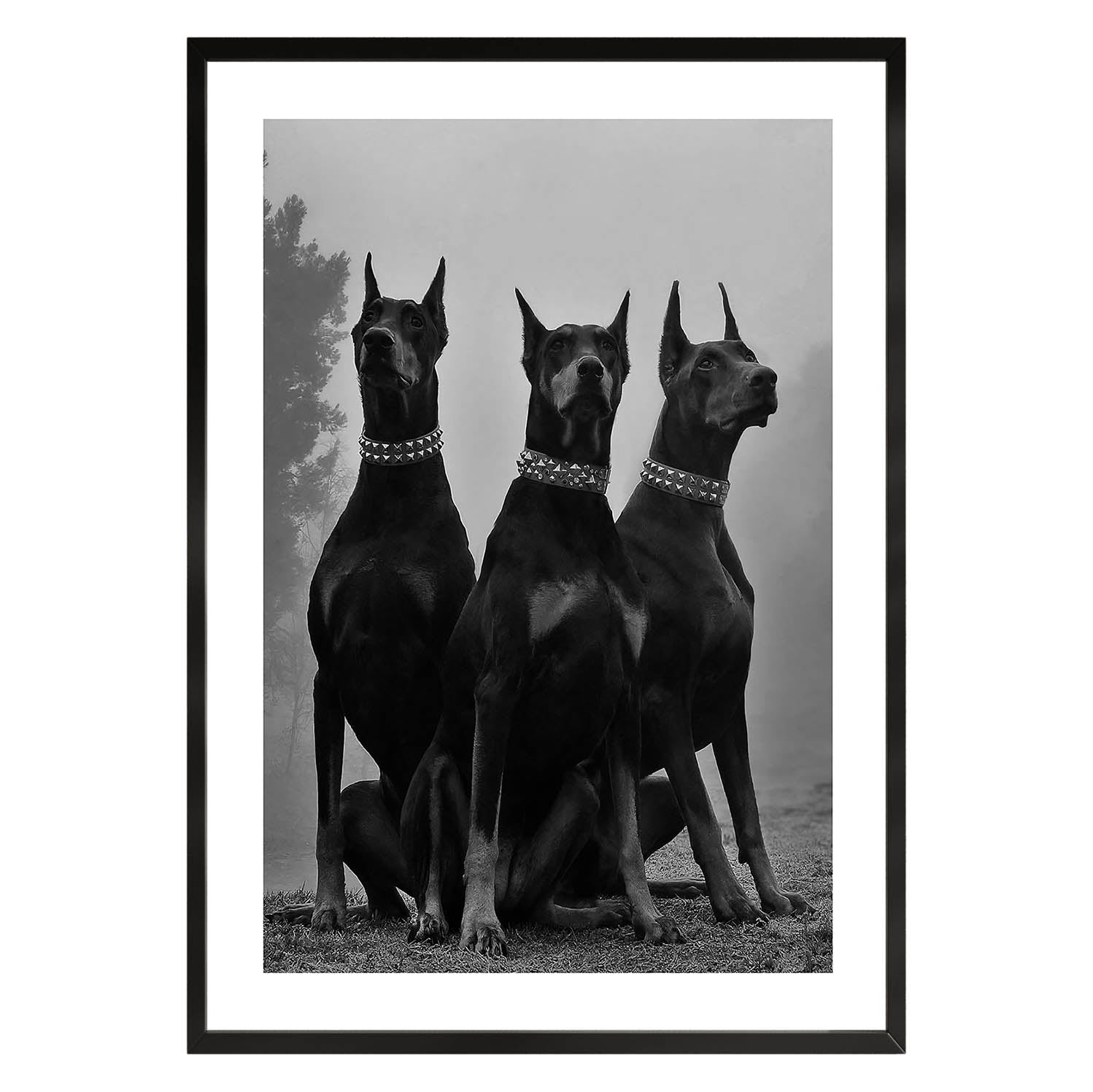 Affiche Affiche Balenciaga Doberman Mansion Poster Mansion