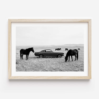 Black and white framed wall art print showing a classic car parked in a field with horses grazing in the background.