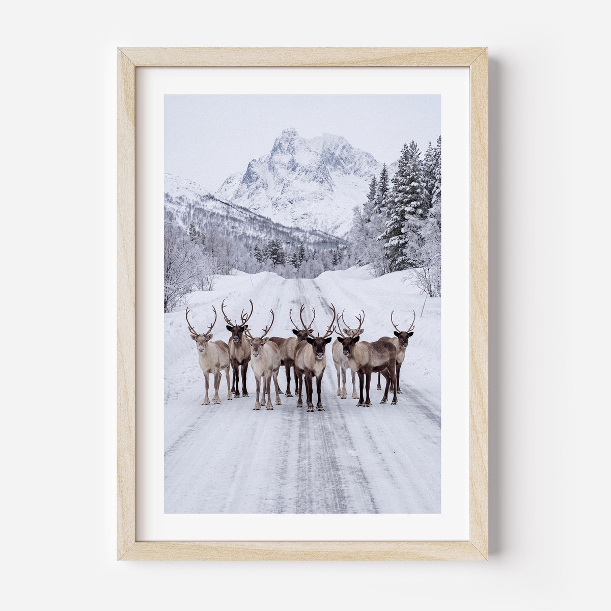 A framed art print featuring a group of reindeer standing on a snow-covered road with mountains and evergreen trees in the background, presented in a light natural wood frame with a white mat.