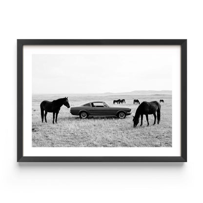 Black and white framed wall art print showing a classic car parked in a field with horses grazing in the background.