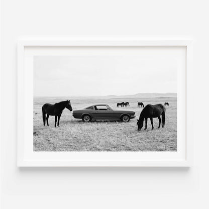 Black and white framed wall art print showing a classic car parked in a field with horses grazing in the background.