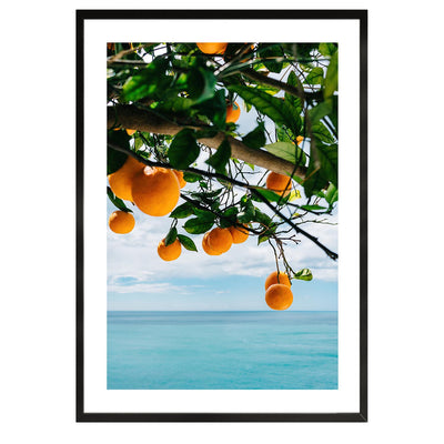 colorful poster of oranges hanging on a tree with a view ot the ocean, Italy, Mediterranean, home decor, print, wall art