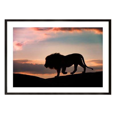 poster of a lion and sunset in africa/ wall decor/wall art