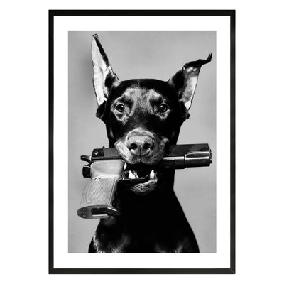 dobermann dog poster