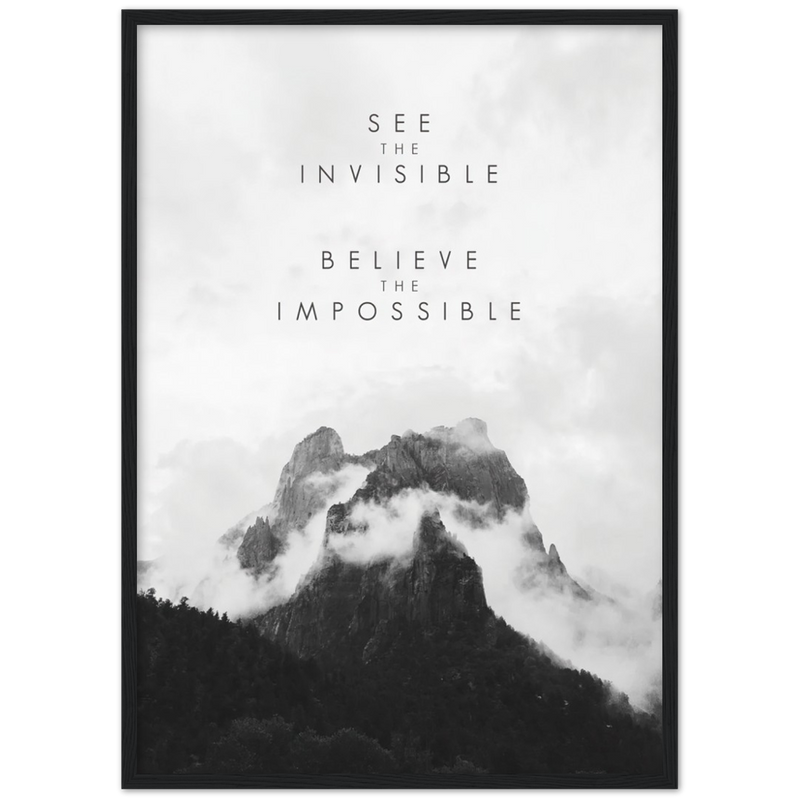 See The Invisible Poster