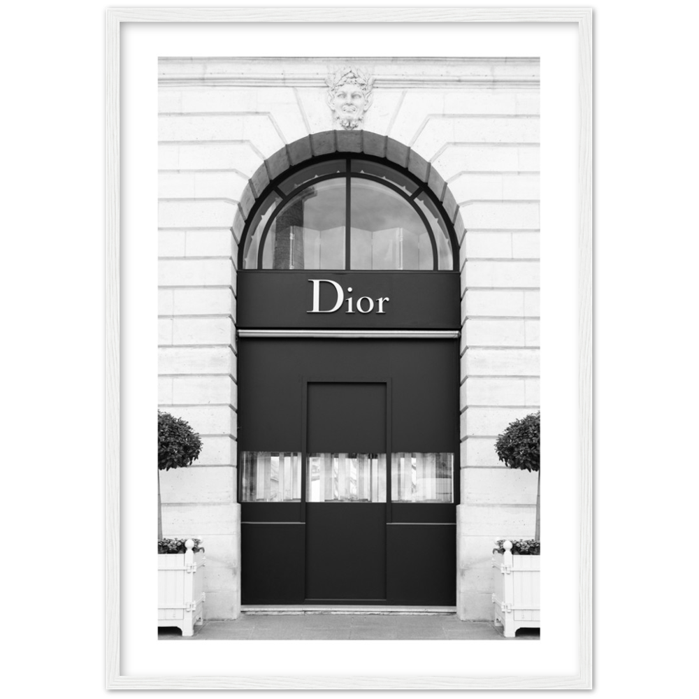 Premium Fashion Print Dior – Poster Mansion