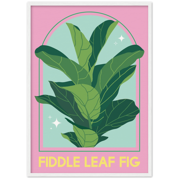 fiddle leaf fig illustration Fiddle leaf fig Poster