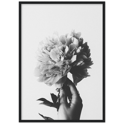 black and white poster/print of a wild flower. Fine art wall decor