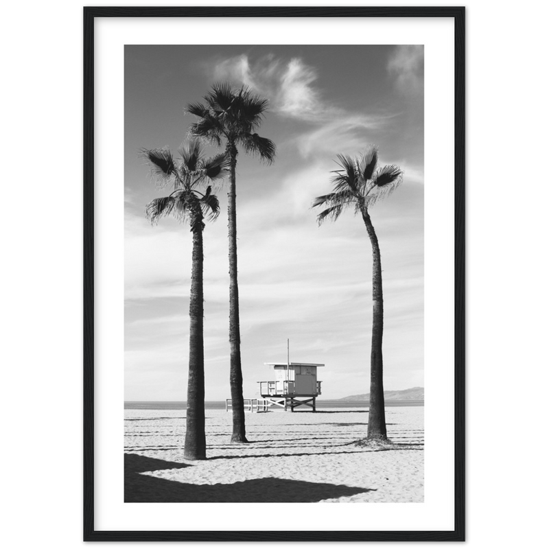 Palmtrees Black and White Poster