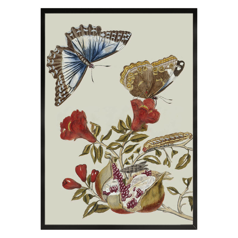 Poster Blumen Schmetterling