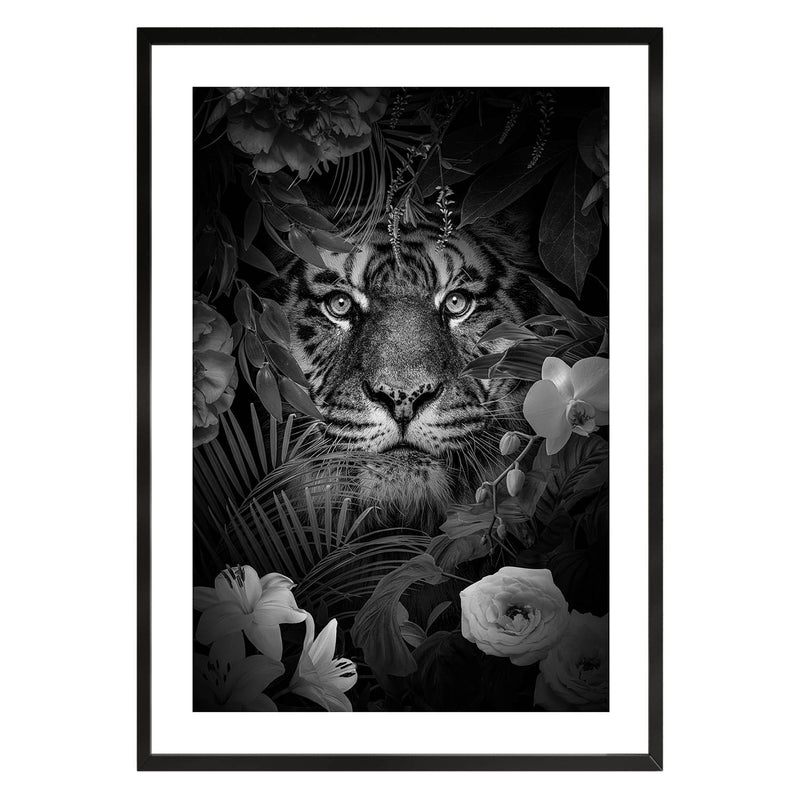 Tigre Poster